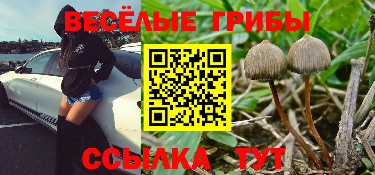 Галлюциногенные грибы MAGIC MUSHROOMS Богородицк